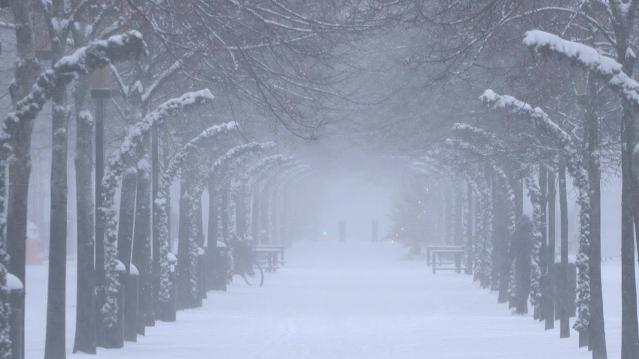 Europe sees first snow of the year as winter moves in | AFP