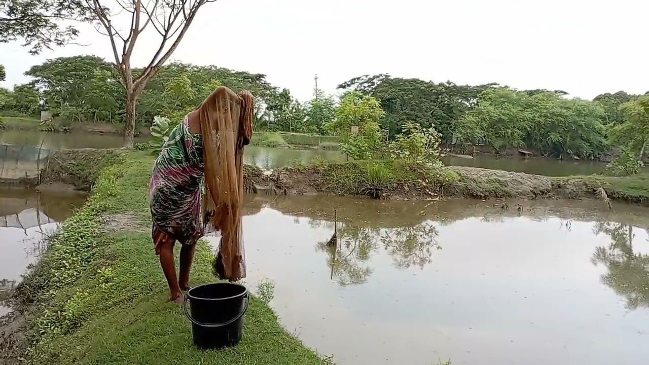Amazing Net Fishing Video In Village Women |Amazing Hand Fishing Video The Women Catch |SapnaFishing