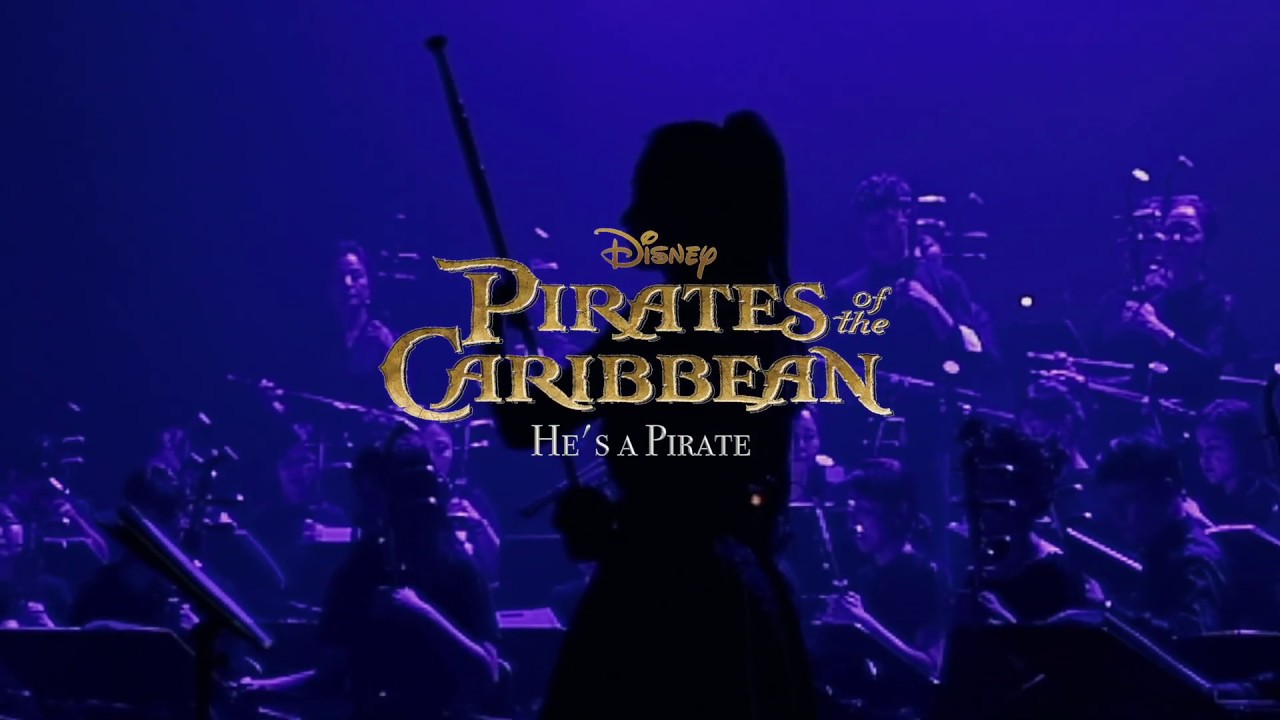 he's a pirate - Pirates of the Caribbean ERHU COVERㅣ캐리비안의 해적 OSTㅣ얼후(二胡) 앙상블 연주 4K 영상 ❤️ 얼후 아티스트 이비