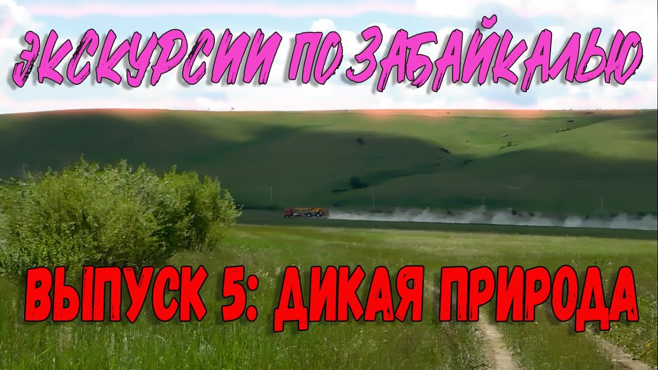Экскурсии по Забайкалью. Дикая природа Забайкалья