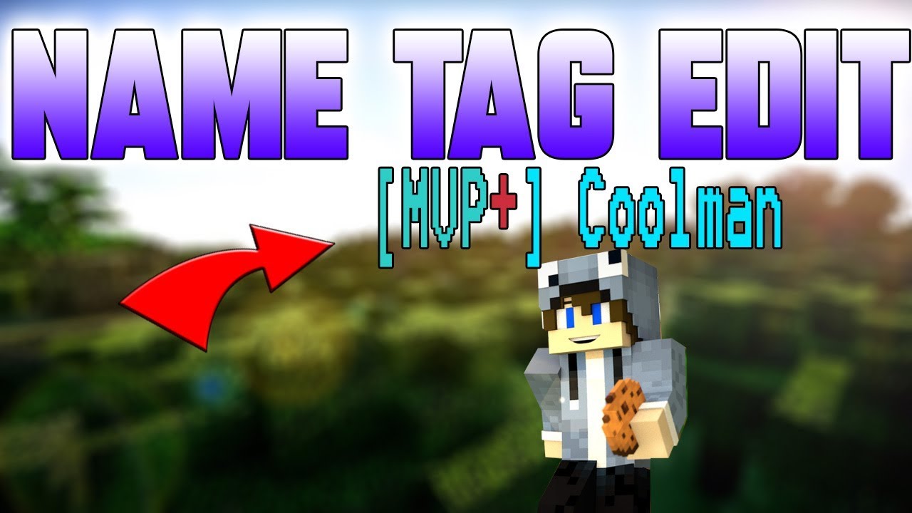 Name Tag Edit Plugin Tutorial | Minecraft Plugins