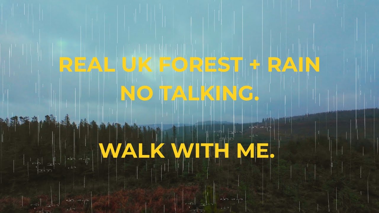 Rainy UK Forest Walk ASMR | No AI – NO TALKING, just the sounds of rain nature and footsteps