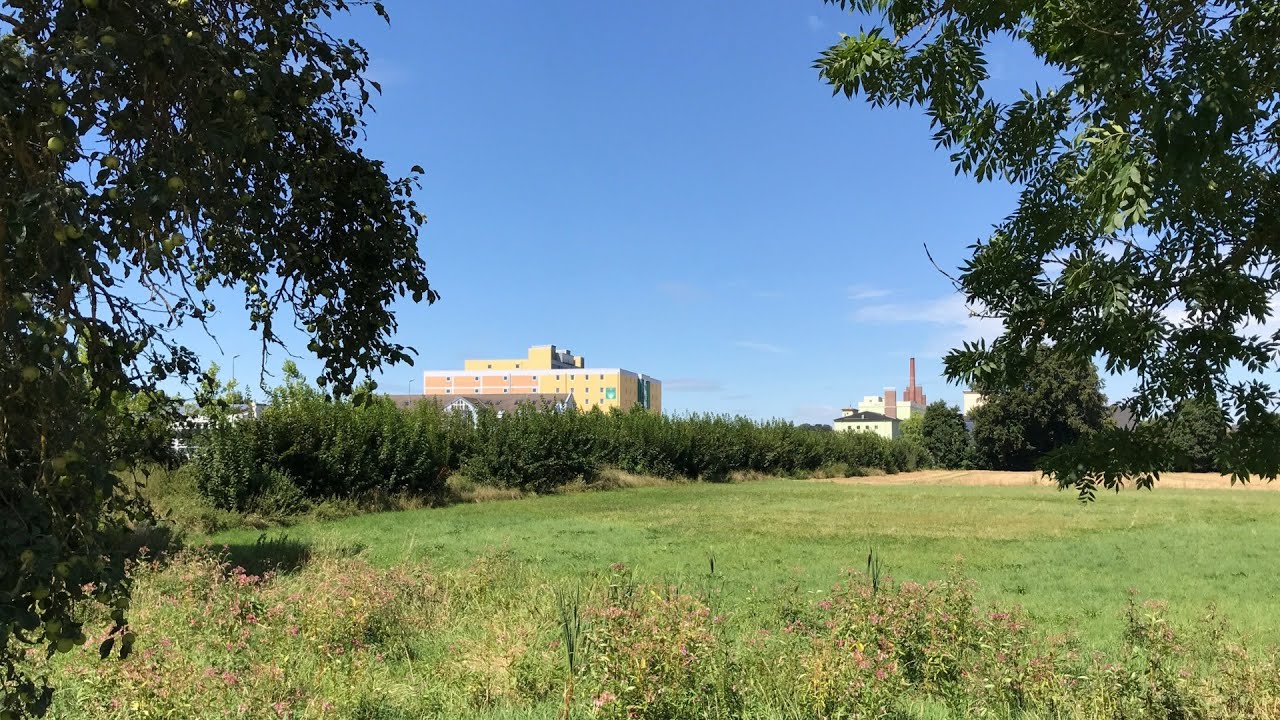 #15 Rad Ausflug nach Mainburg durch die Hallertau