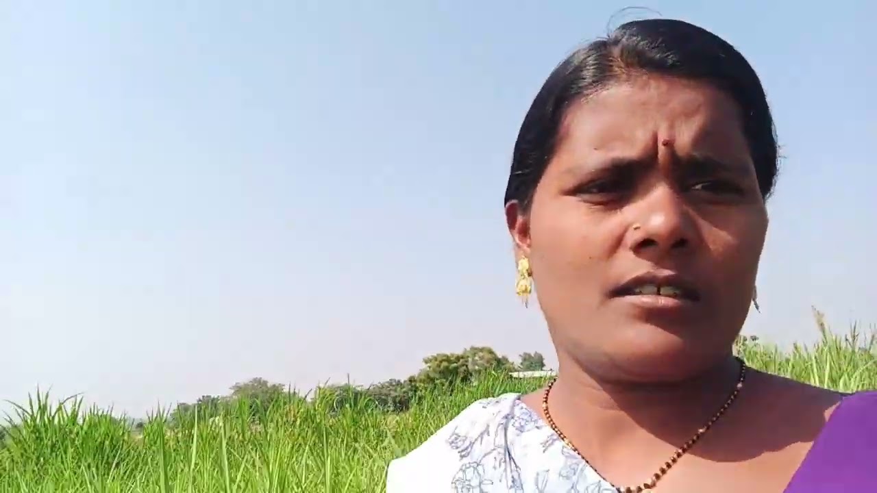 @डाळिंबाच्या बागेत काय केले ते बघा#shetakarivolg