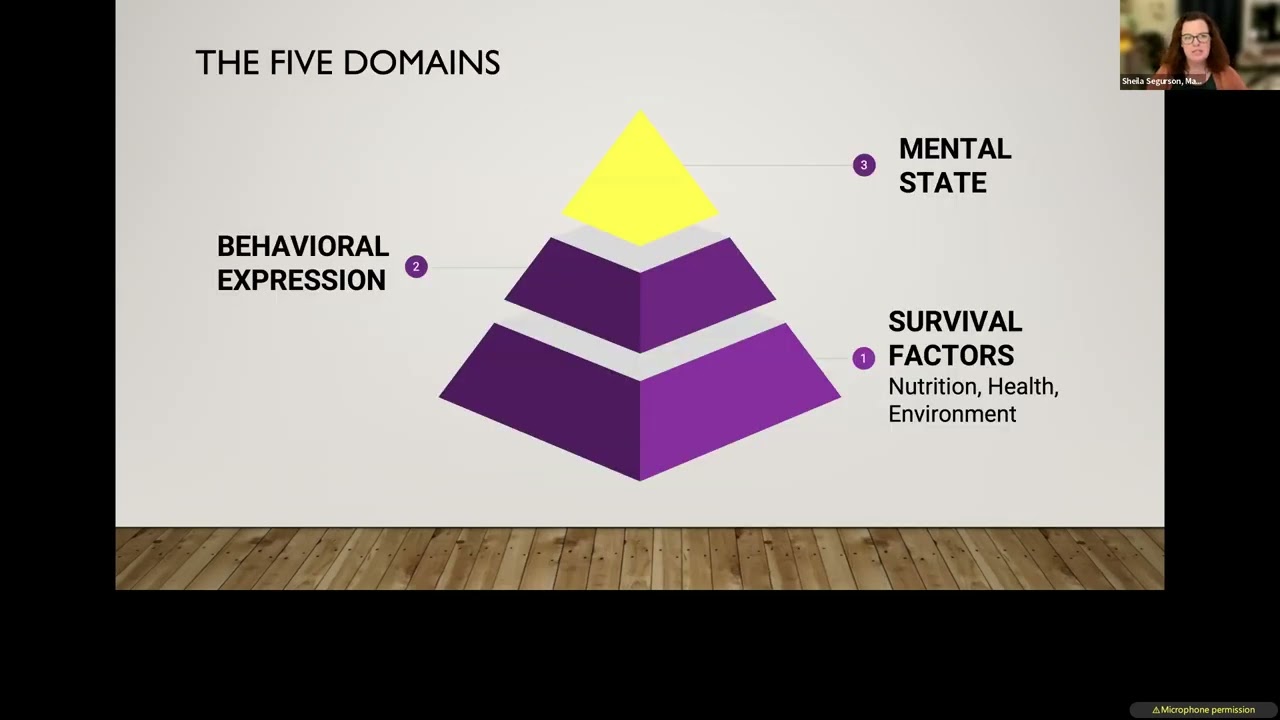 Moving Beyond the Five Freedoms: Five Domains