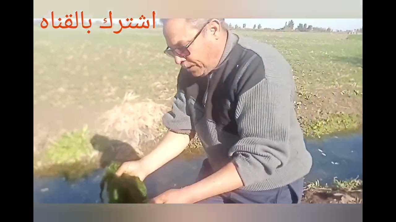 ازاي تجيب الريمه السايحه بتاع الأسبوع كله وتحافظ عليها 👍👍👍👍👍👍👍👍👍👍👍