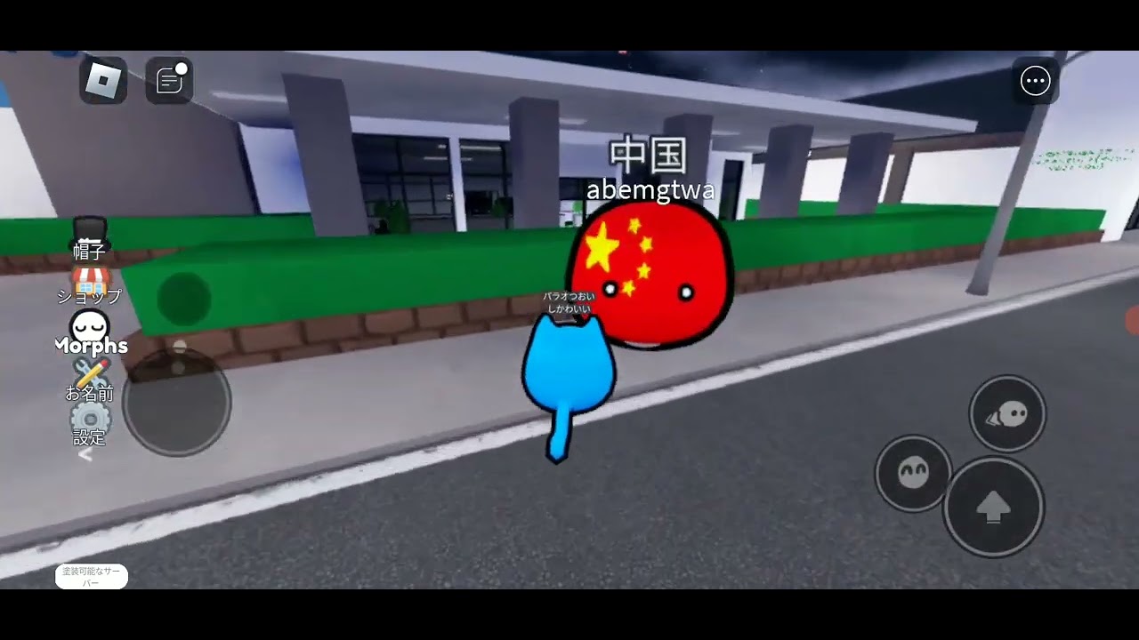 パラオ誘拐だと