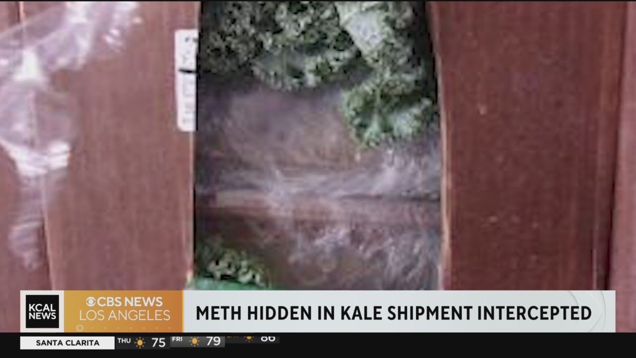 $38 million worth of methamphetamine hidden in kale shipment seized at a checkpoint near San Diego