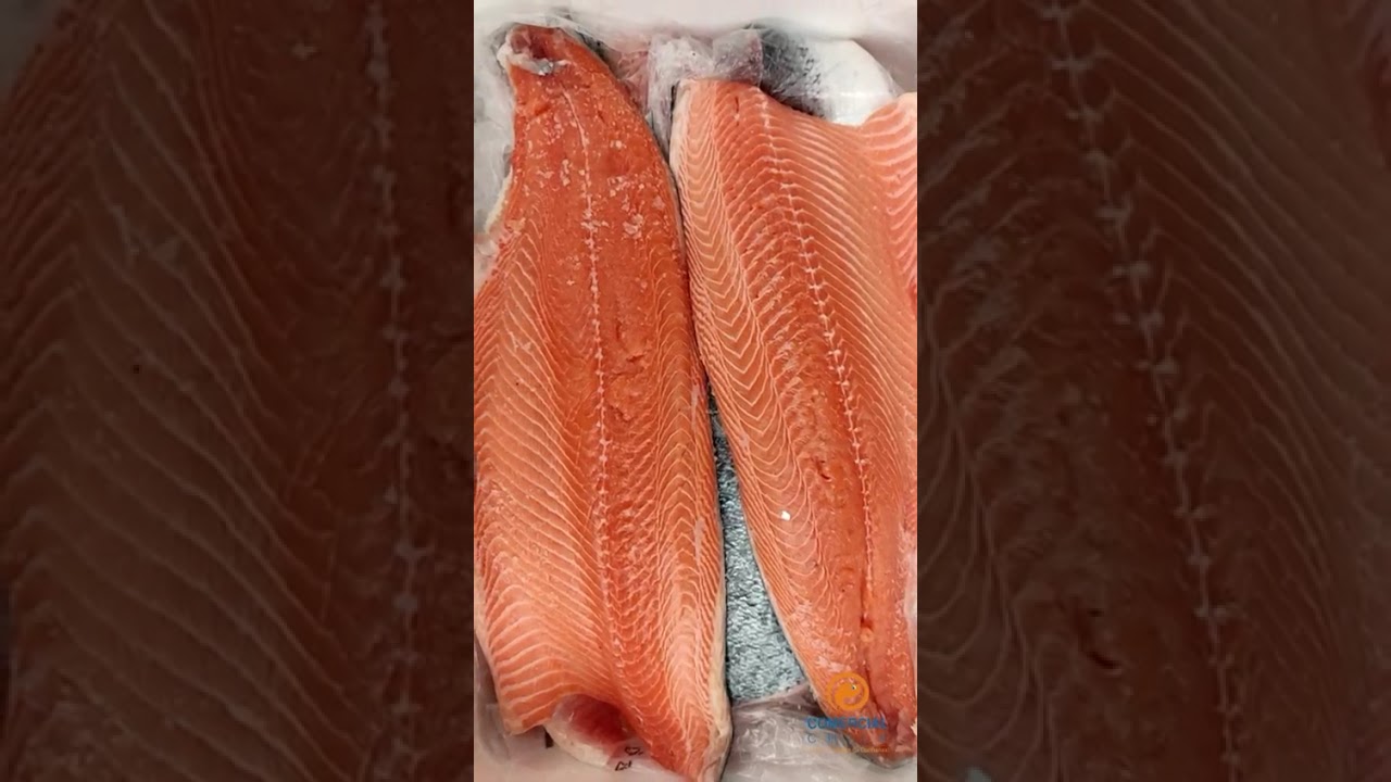 Salm&oacute;n Fresco Premium | Calibre 3&ndash;4 Trim D | Comercial Tranmar Chile