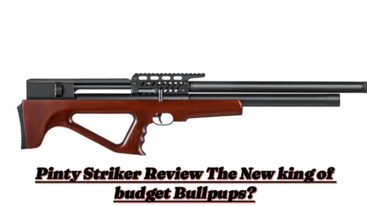 Обзор винтовки Pinty Striker .22 (новый король доступных винтовок компоновки буллпап)