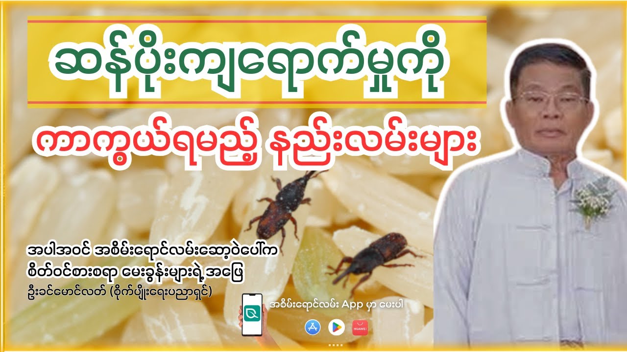 ဆန်ပိုးမတက်အောင်ထိန်းသိမ်းနည်းအပါအဝင် အစိမ်းရောင်လမ်းပေါ်က မေးခွန်းများရဲ့ အဖြေ