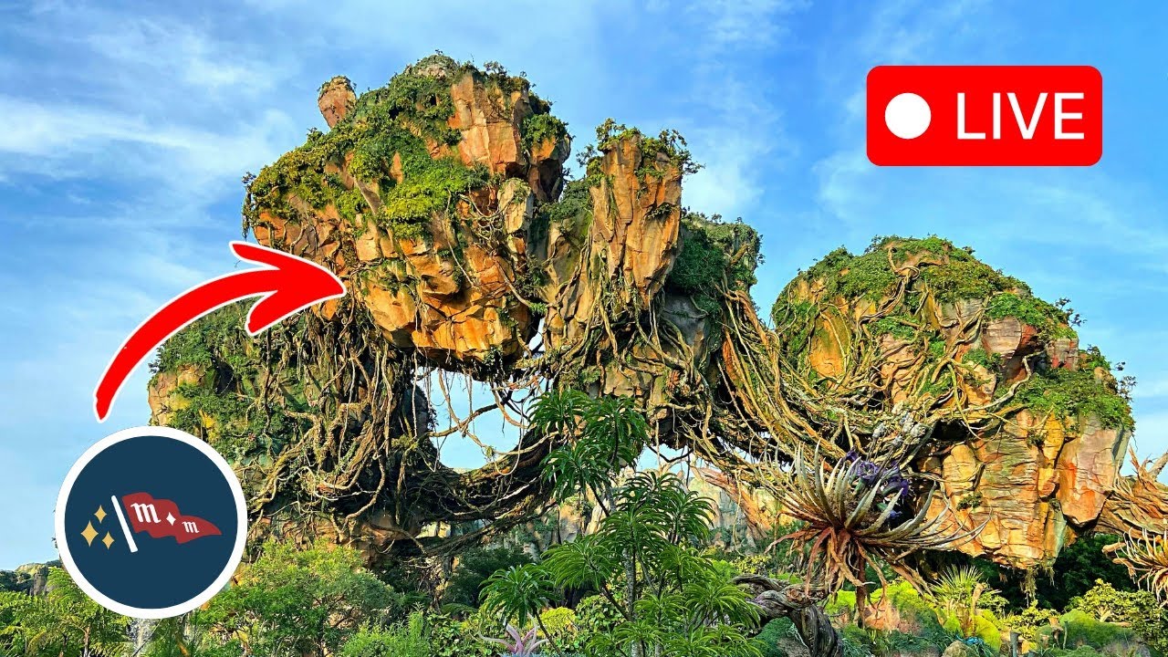 🔴 LIVE Exploring Disney's Animal Kingdom | Attractions, Food, and Atmosphere