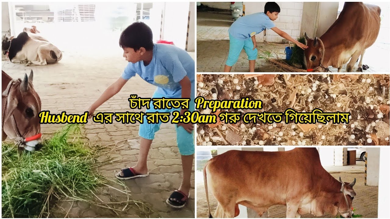 চাঁদ রাতের Preparation 🍽️  Husbend এর সাথে রাত  2:30am গরু দেখতে গিয়েছিলাম 🐄
