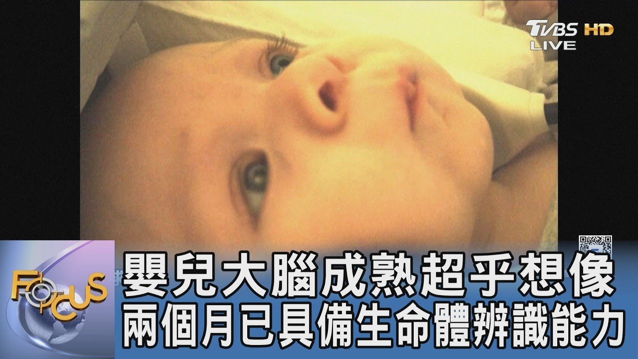 嬰兒大腦成熟超乎想像 兩個月已具備生命體辨識能力｜FOCUS午間新聞 20260320
