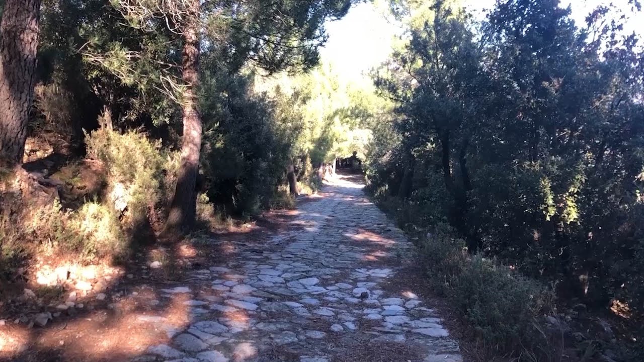 VIA GRANDE DI BIVONGI TORNA PERCORRIBILE GRAZIE A CALABRIA VERDE