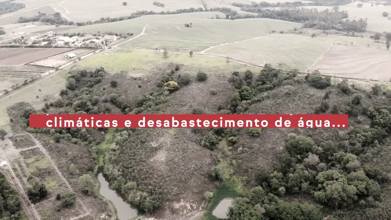 Campanha SOSMA - IFood
