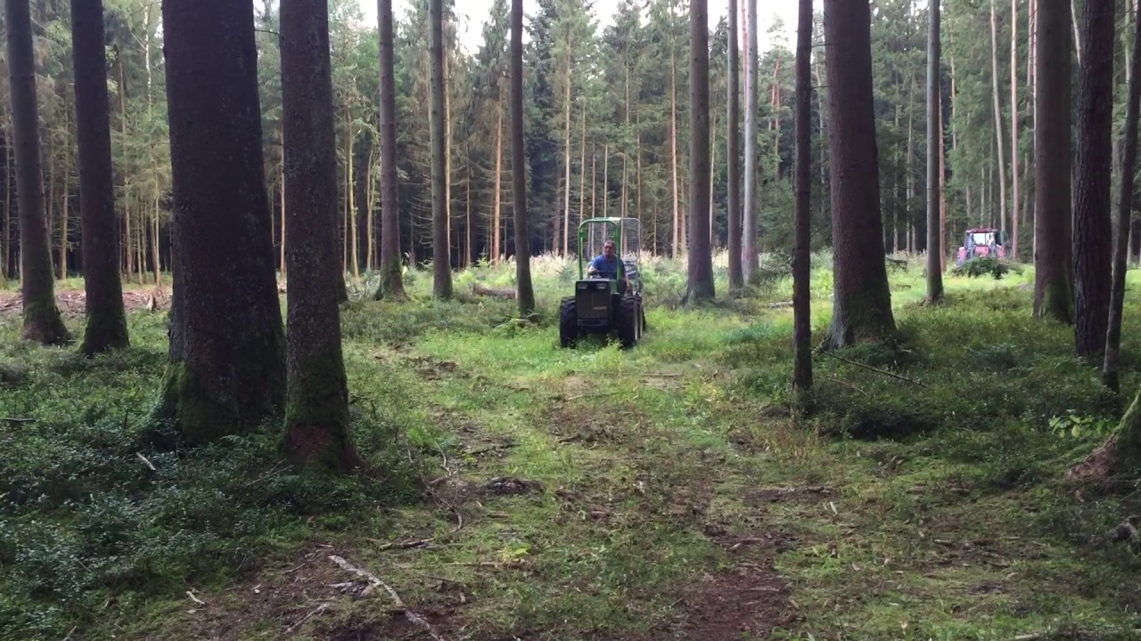 Holder A50S im Forst