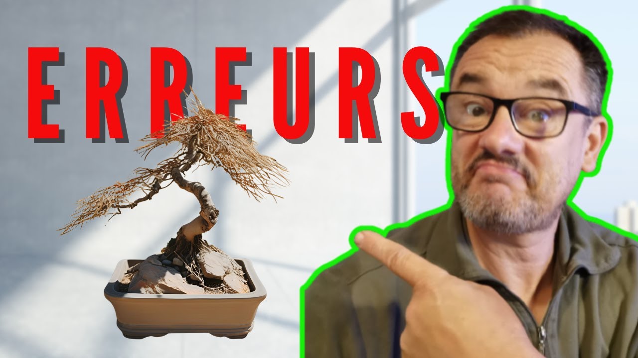 Ne FAIT JAMAIS &ccedil;a en BONSA&Iuml;