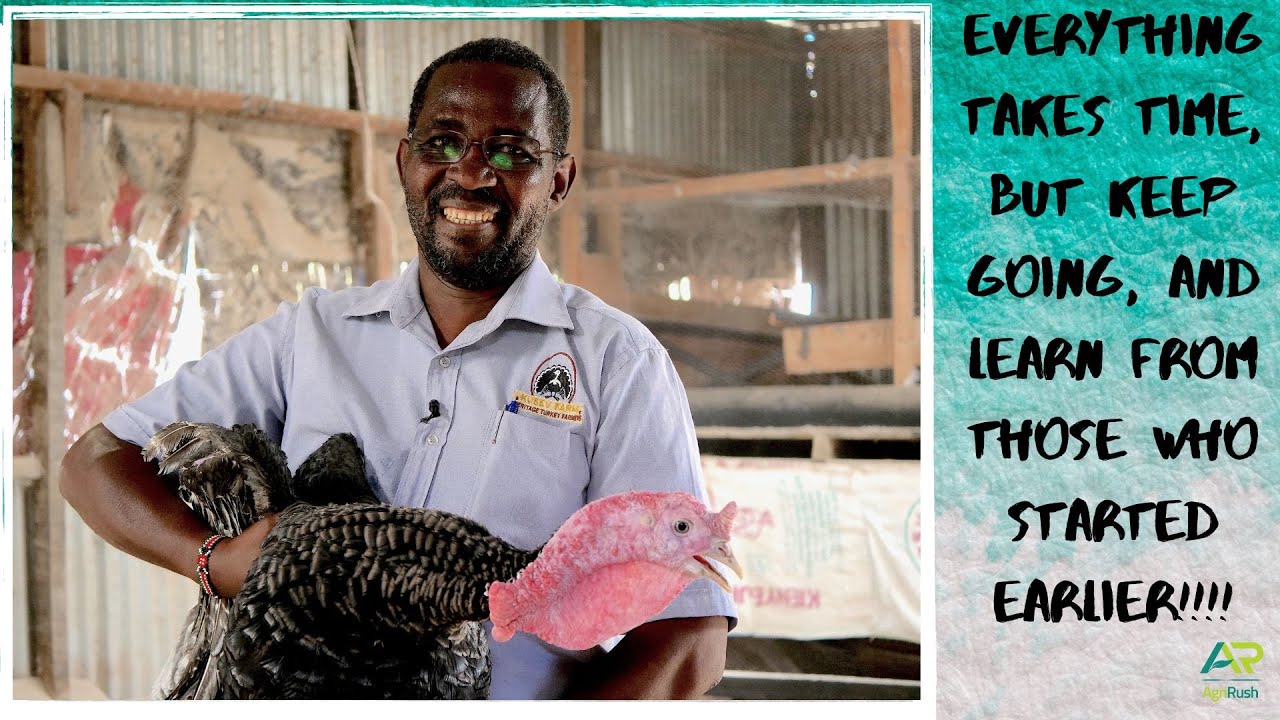 My wife got me into turkey farming! & I never looked back. I now add value to my turkey products