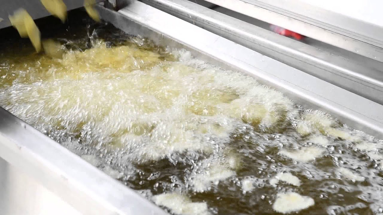 ProfiFry Continuous Fryer