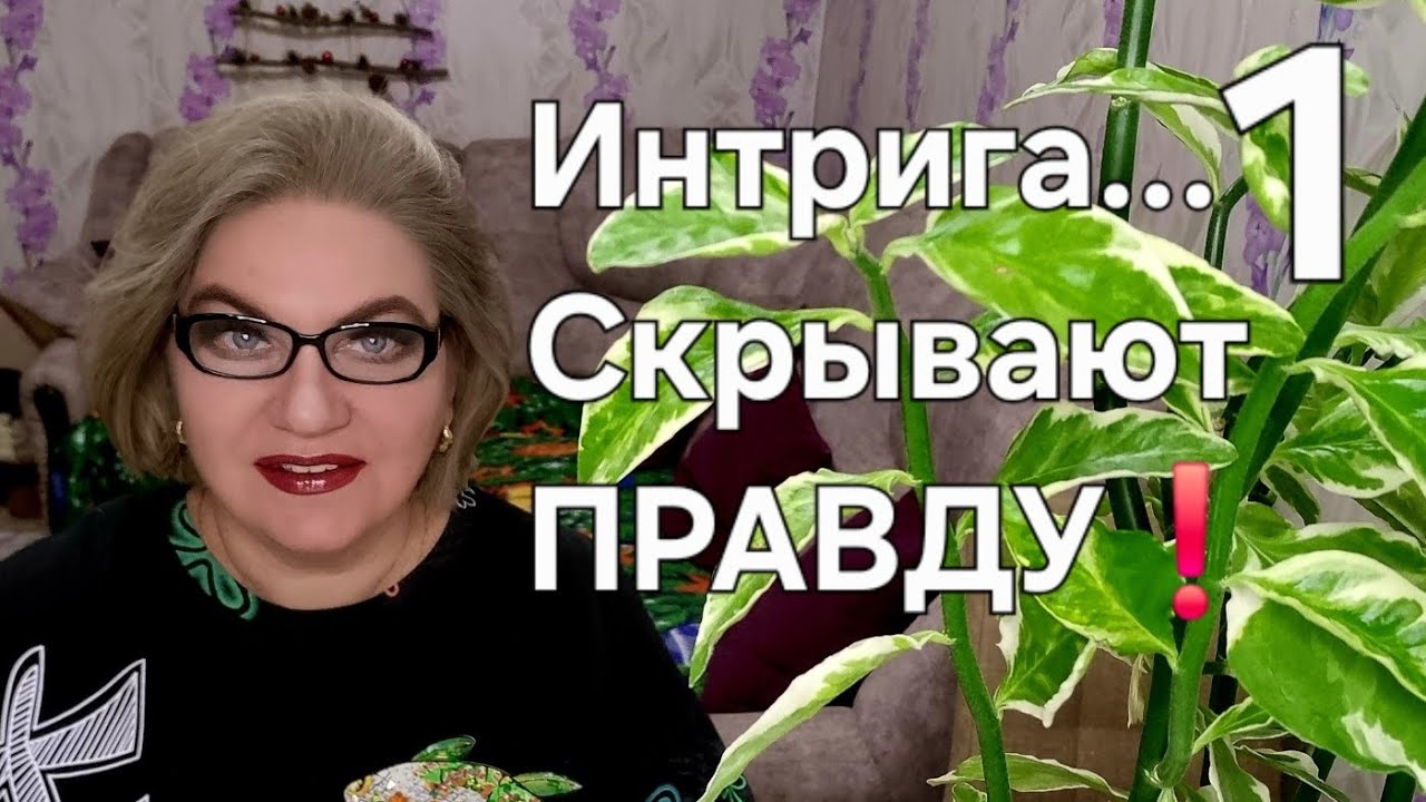 Интрига...Скрывают ПРАВДУ❗️