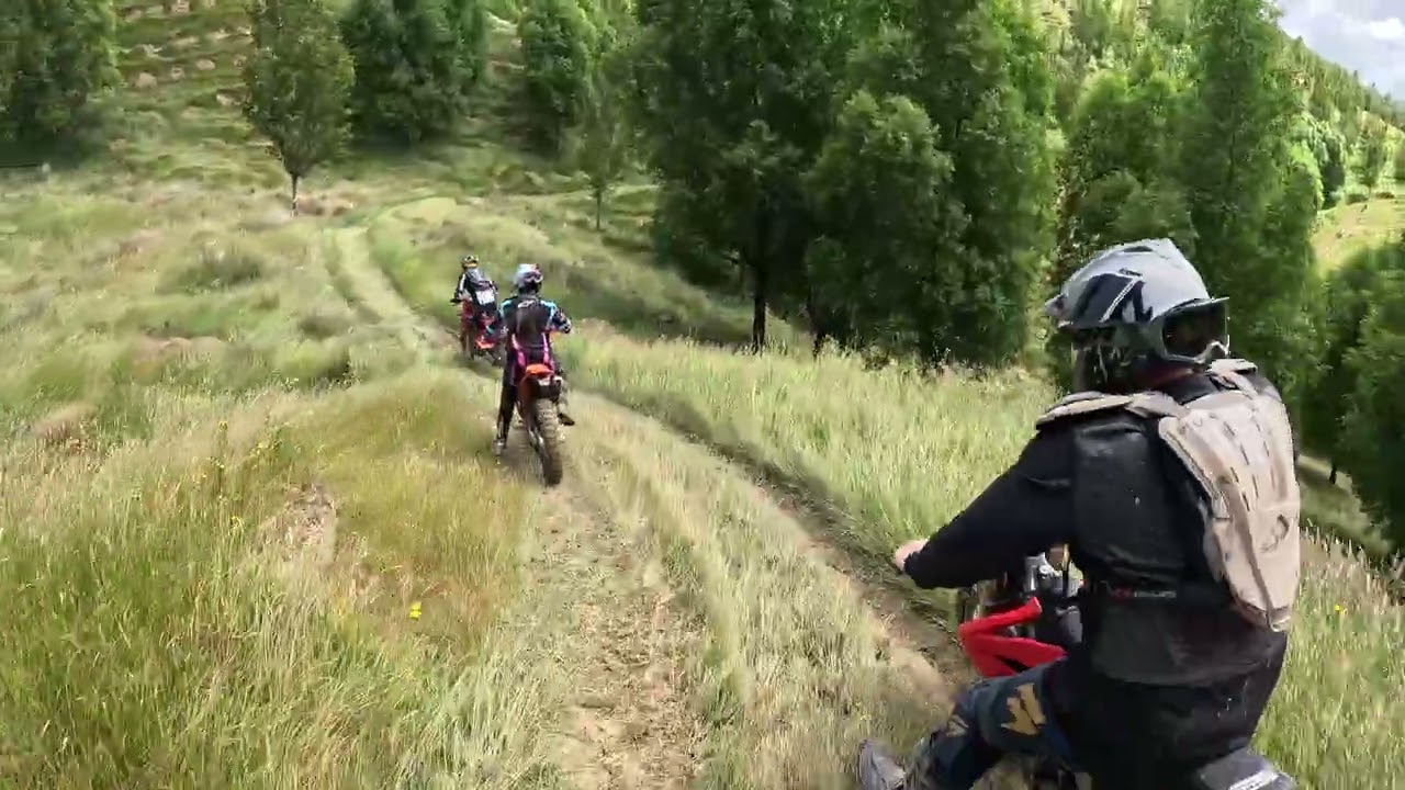 Bushriders 2025 Christmas trailride PT3