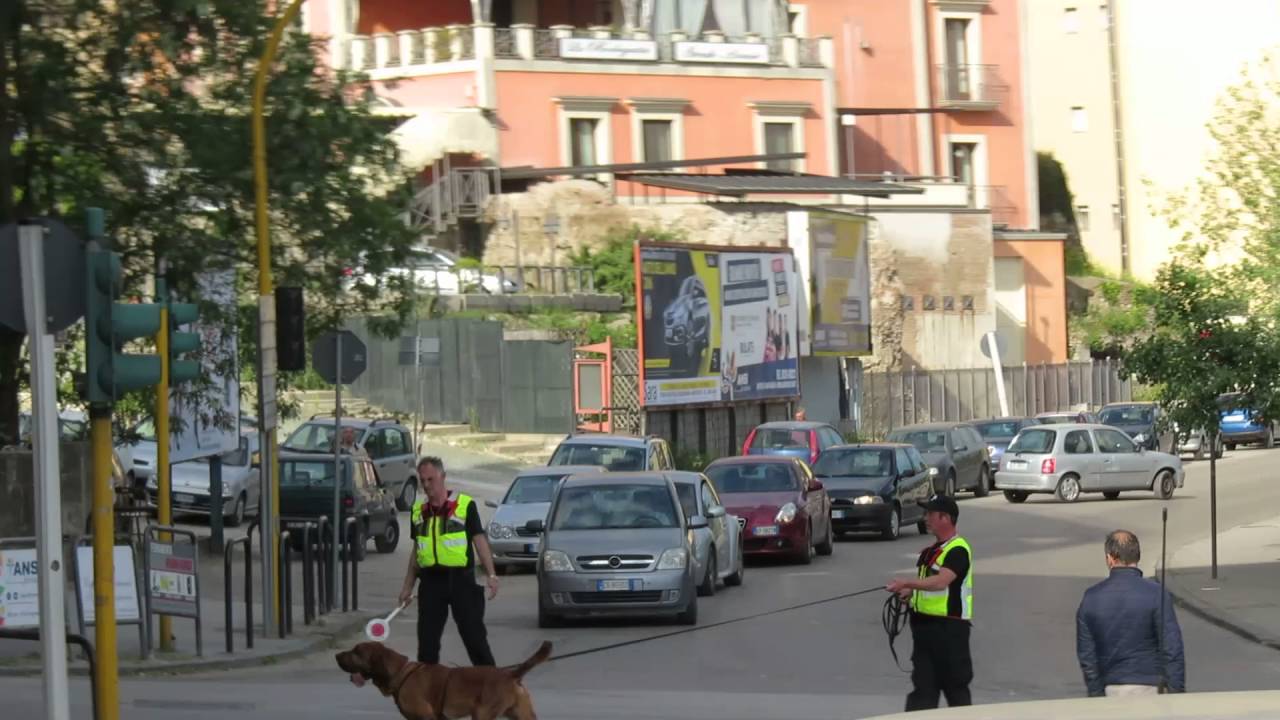 Universitario scomparso da Benevento. Le ricerche con i cani molecolari