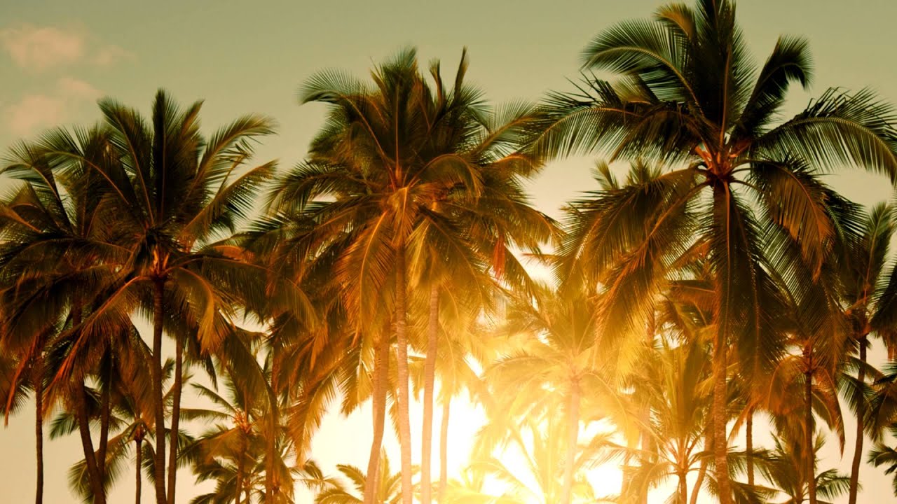 Avicii - The Nights (Mau Kilauea's Tropical Remix)