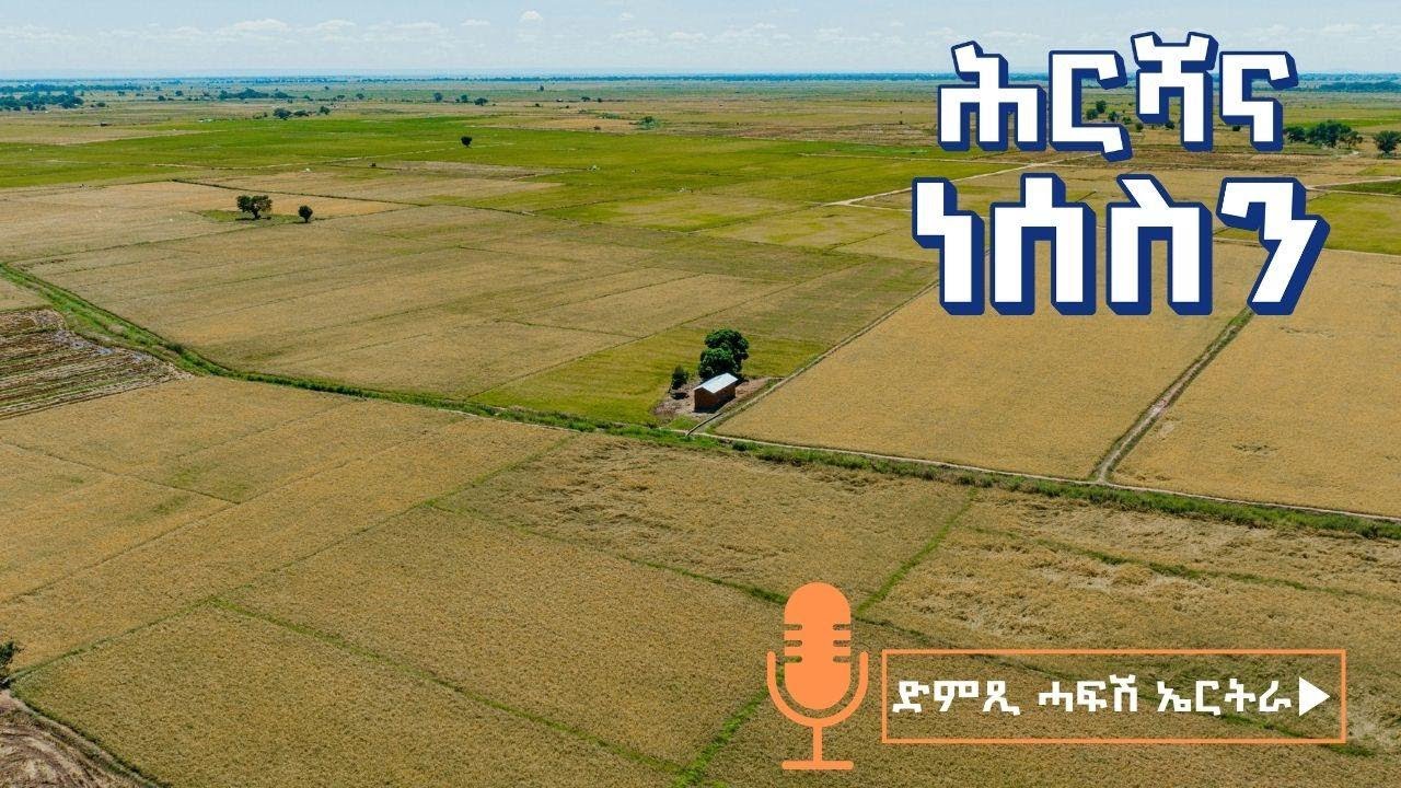 ሕርሻና ነሰስን - ድምጺ ሓፋሽ ኤርትራ | Dimtsi Hafash Eritrea - Hrsha Nsesn - July 13, 2025