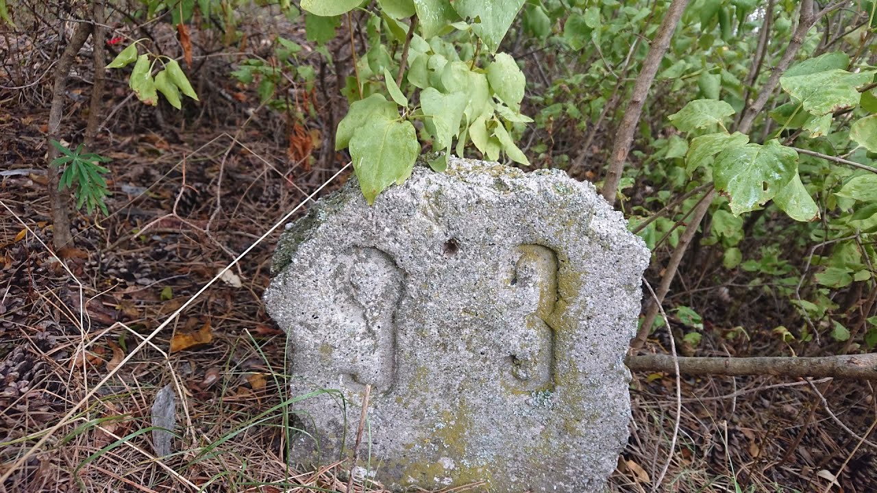 Lokalbahn Willendorf (NÖ) – Lokalbahnhof Neunkirchen (NÖ)