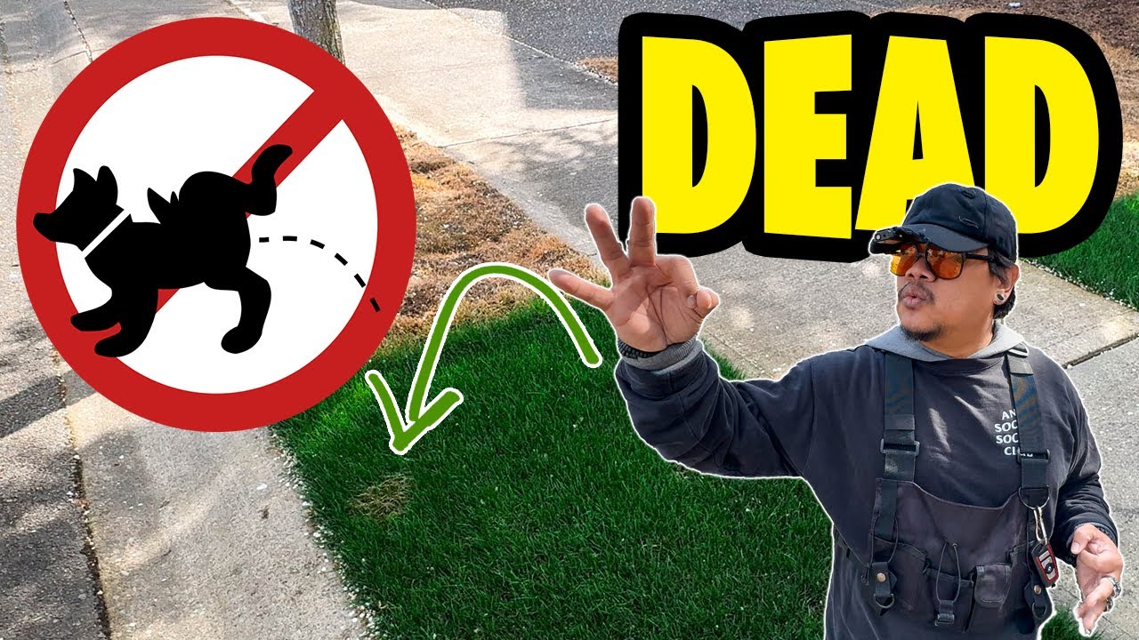 I'm sick of INCONSIDERATE neighbors and their STUPID DOGS... let's fix that!