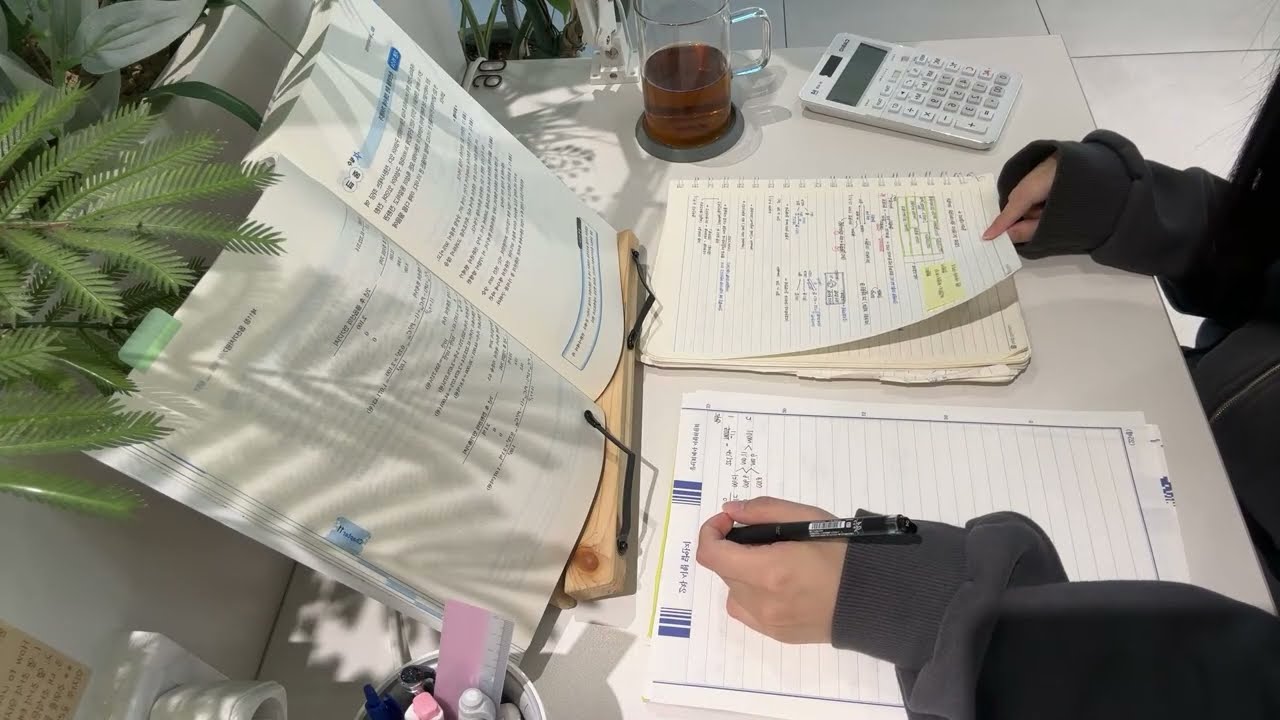 25.11.23 스터디윗미 라이브 | -17시