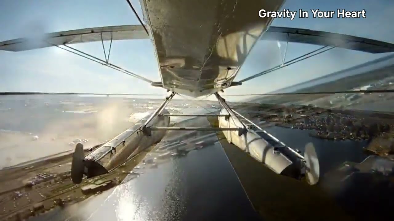 Gravity In Your Heart