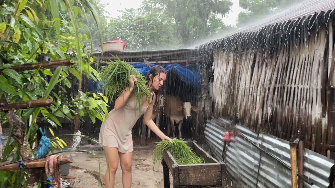 Local School-Village and the Heavy Rain-Rain Walk through School and Village
