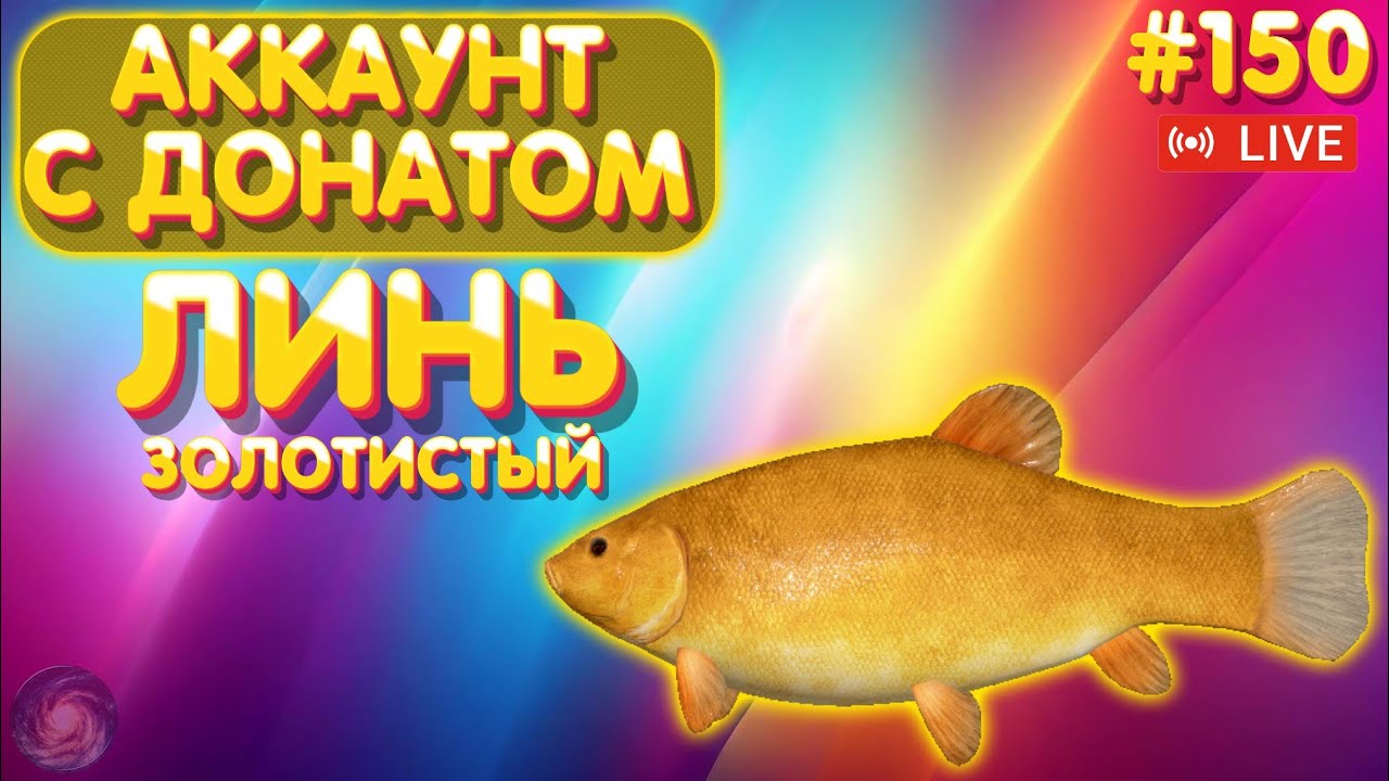 Золотистый Линь 🔥 Аккаунт с донатом #150 стрим 🔥 ПРЕМ и ЗОЛОТО в боксе Trovo 🔥 Русская Рыбалка 4