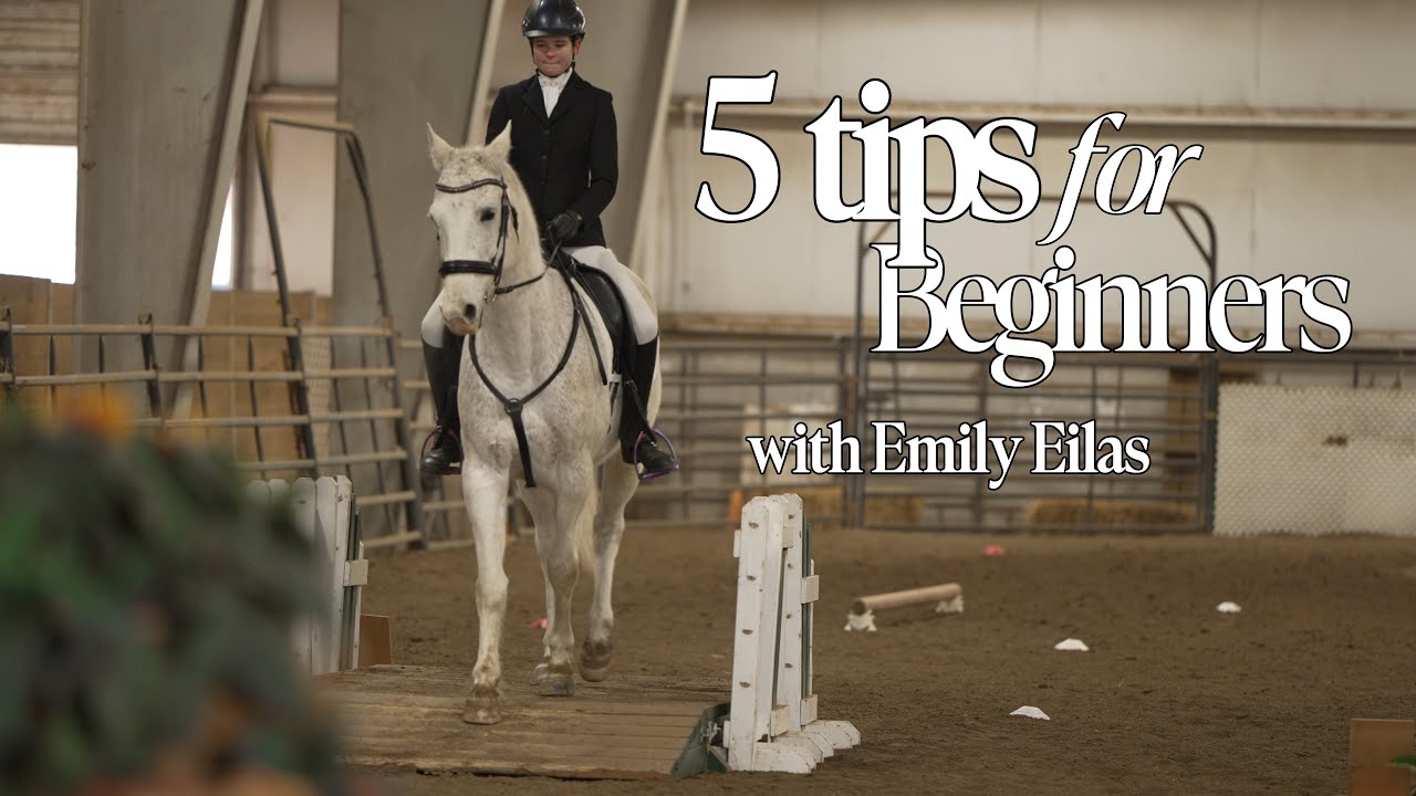 5 Beginner tips for your first Working Equitation Show!