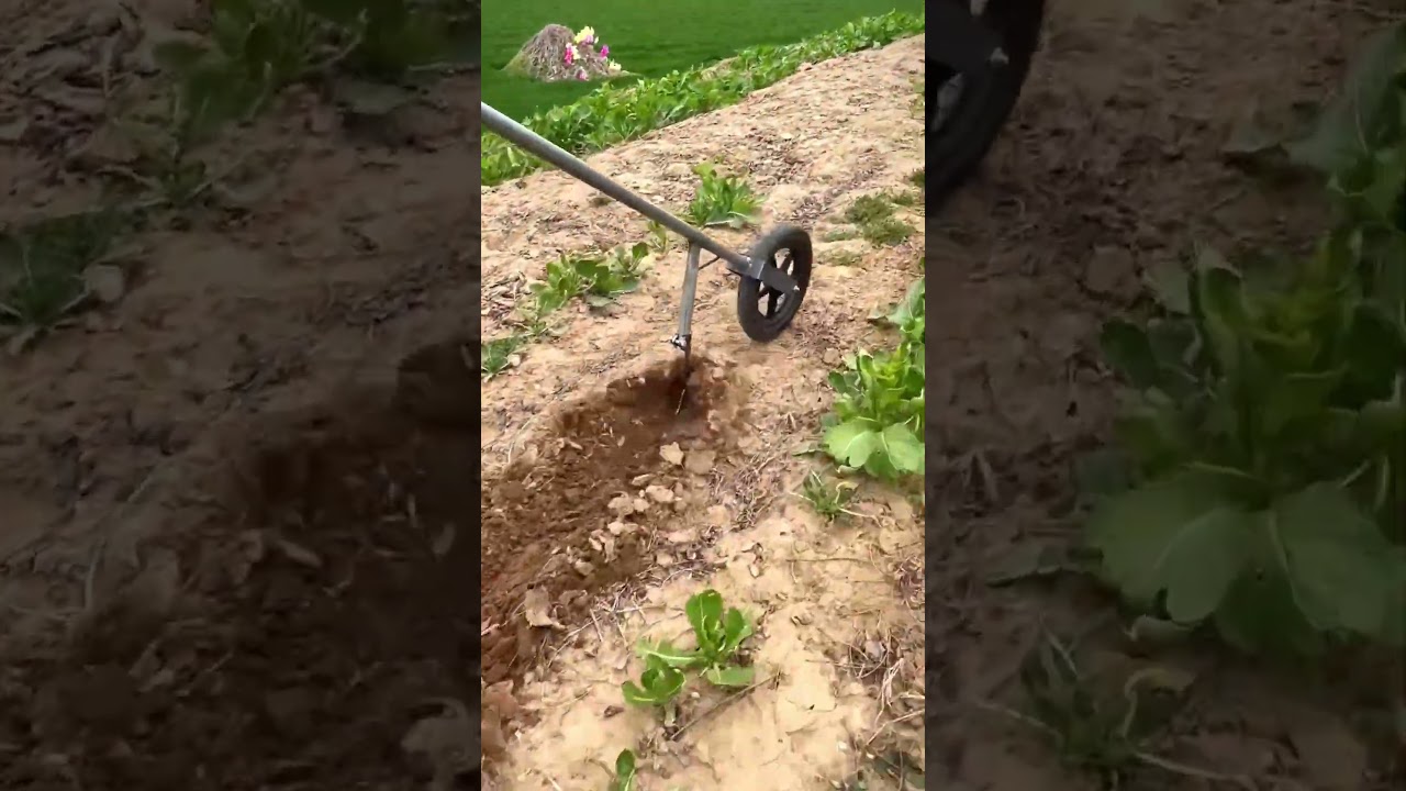 The No-Dig Tool Every Gardener Needs 😳🌱