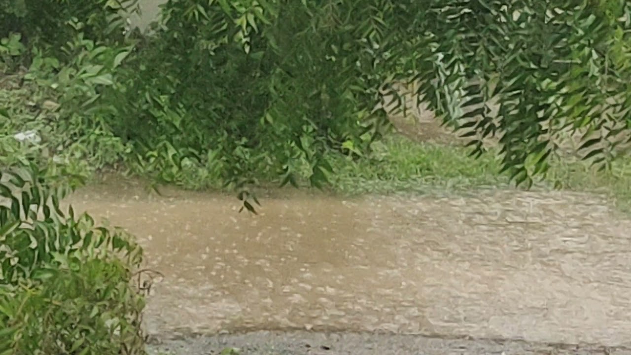 Kalaburagi Rain., 🌧️