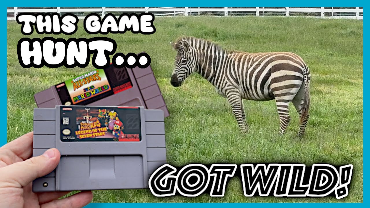 The WILDEST Yard Sale Game Hunt I've EVER HAD! || SNES Video Game Hunting!