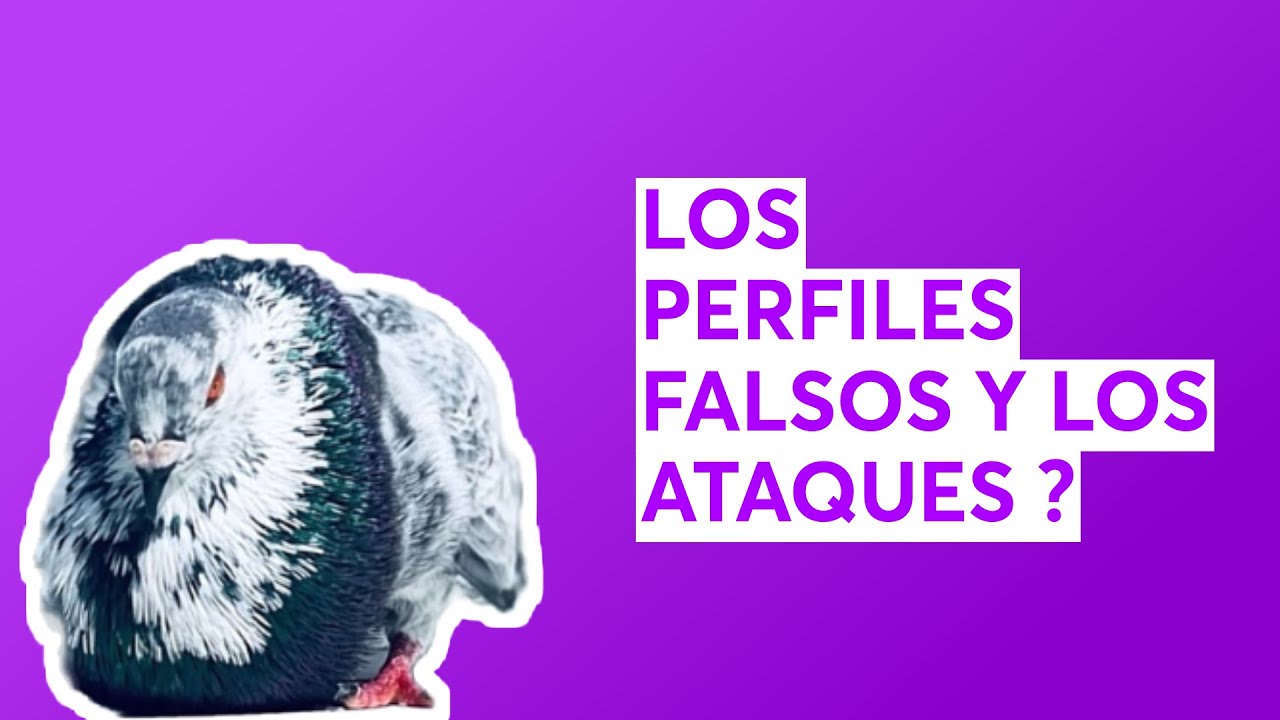 LOS PERFILES FALSOS Y LOS ATAQUES ?
