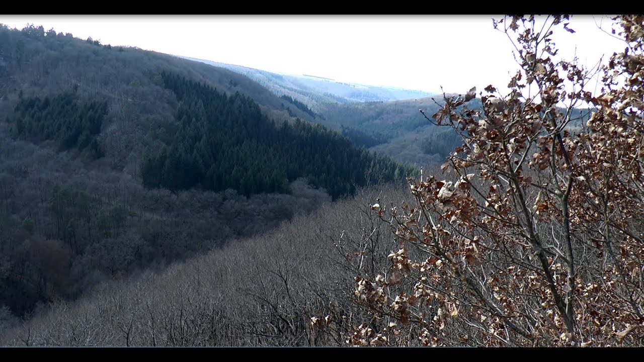 H&auml;ngeseilbr&uuml;cke &uuml;ber das 100 m tiefe Tal des M&ouml;rsdorfer Baches (HD)