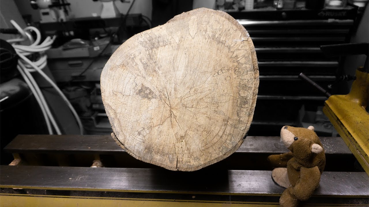 Woodturning Storytime - Revealing the Beauty of Spalted Wood