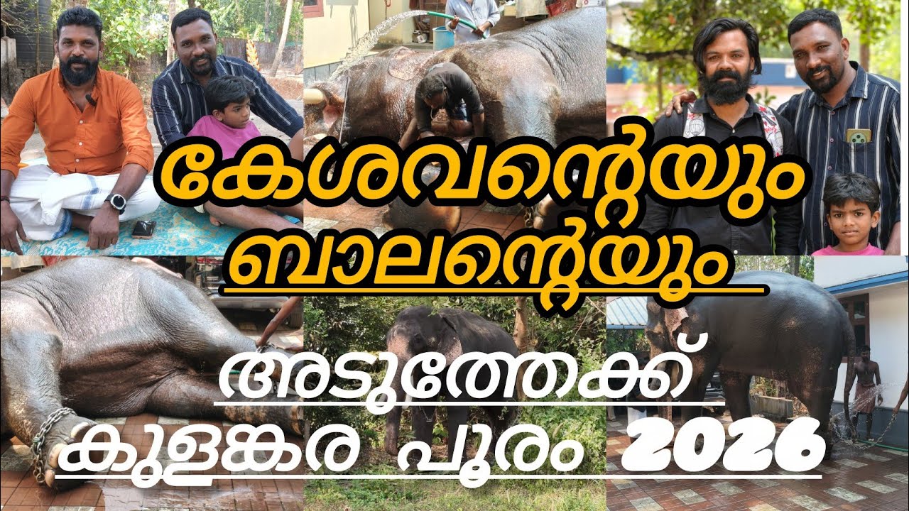കുളങ്കര പൂരത്തിന്റെഭാഗമായി അമ്പാടി ബാലന്റെ കുളിയും കേശവന്റെ പാപ്പാൻ മനോജേട്ടനുമായുള്ള ബൈറ്റും 😊👌👍 