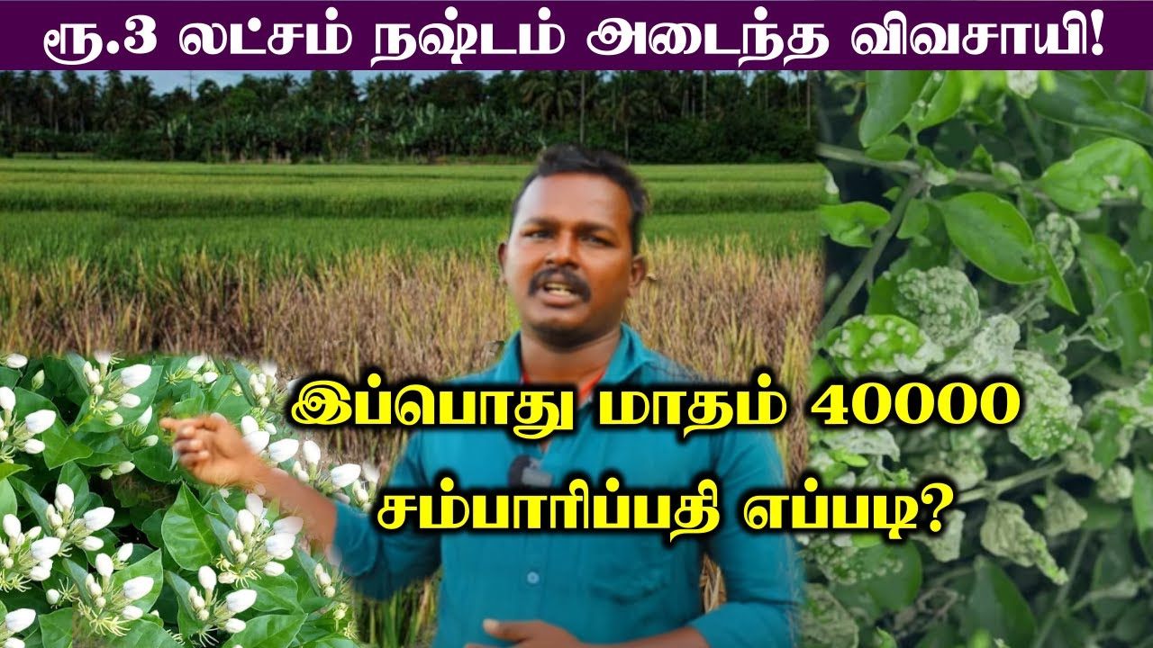 ரூ.3லட்சம் நஷ்டம் அடைந்த விவசாயி! | விவசாயிகள் வாழ்நாள் முழுவதும் நஷ்டம் அடைவது ஏன்?