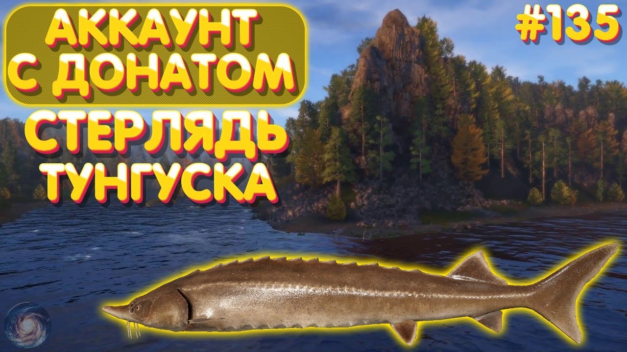 Аккаунт с донатом #135 | Стерлядь - Тунгуска | Русская Рыбалка 4