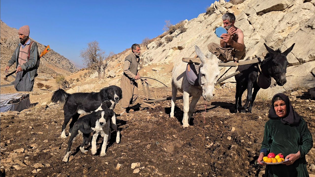 Plowing a field in the heart of the mountains: A story of nomadic life
