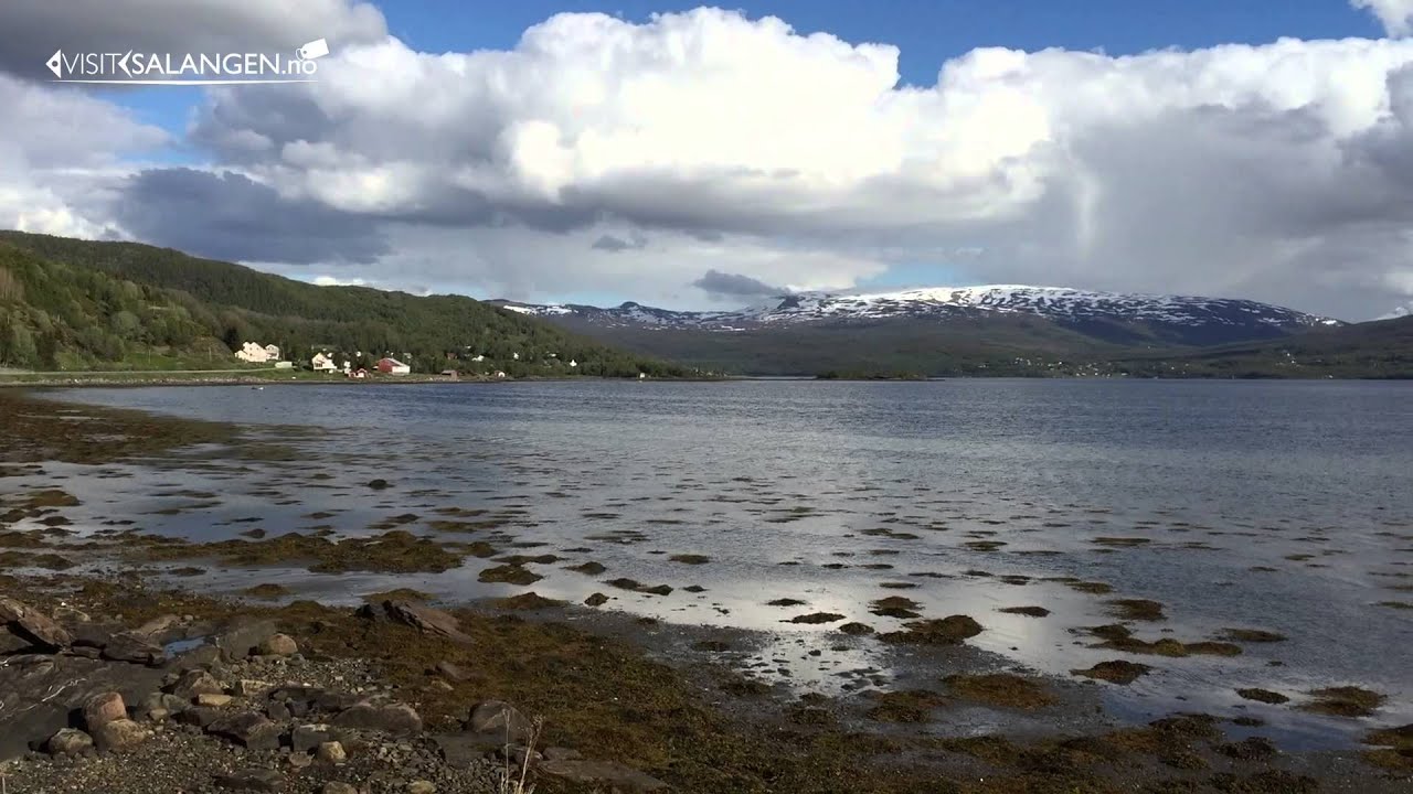 Visit Salangen - Beautiful destination & Unforgettable memories