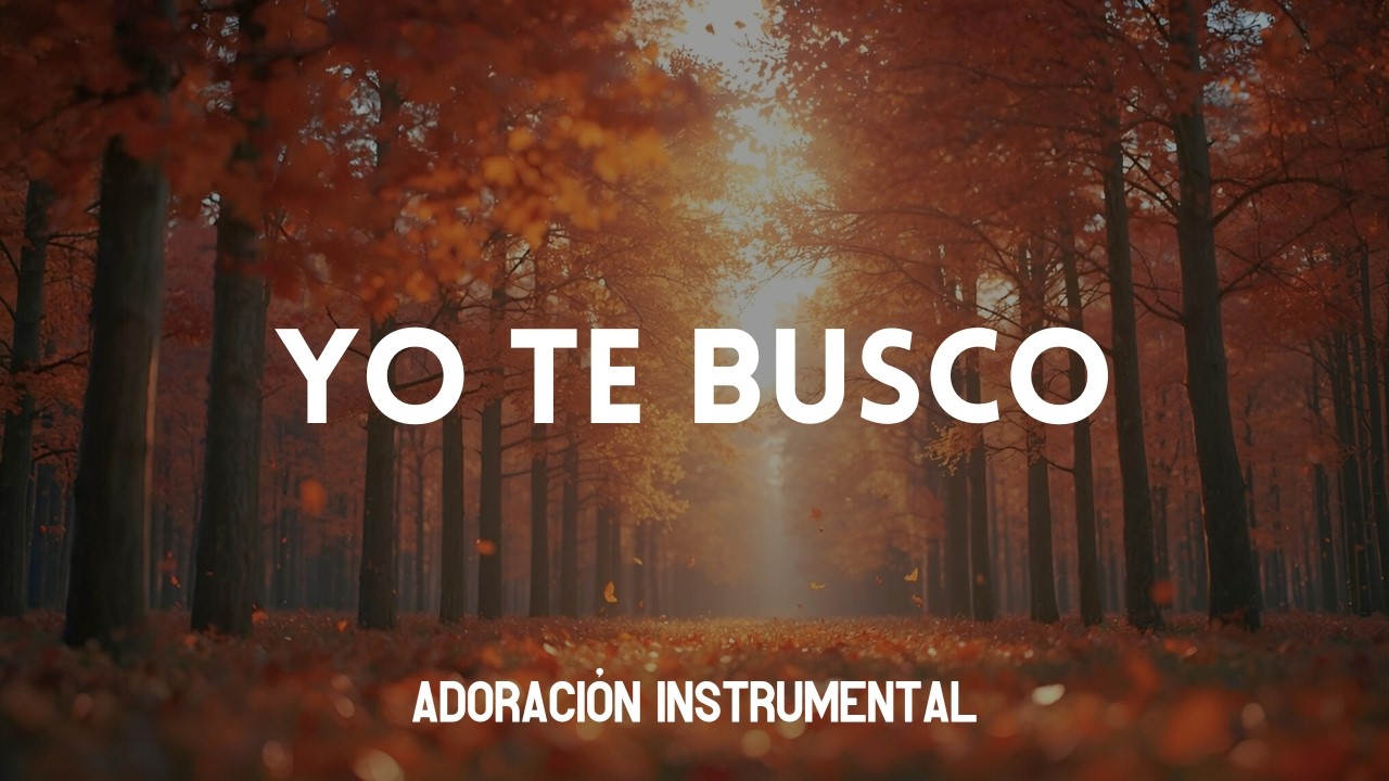 Yo te busco | Música Instrumental de Adoración | Piano para orar
