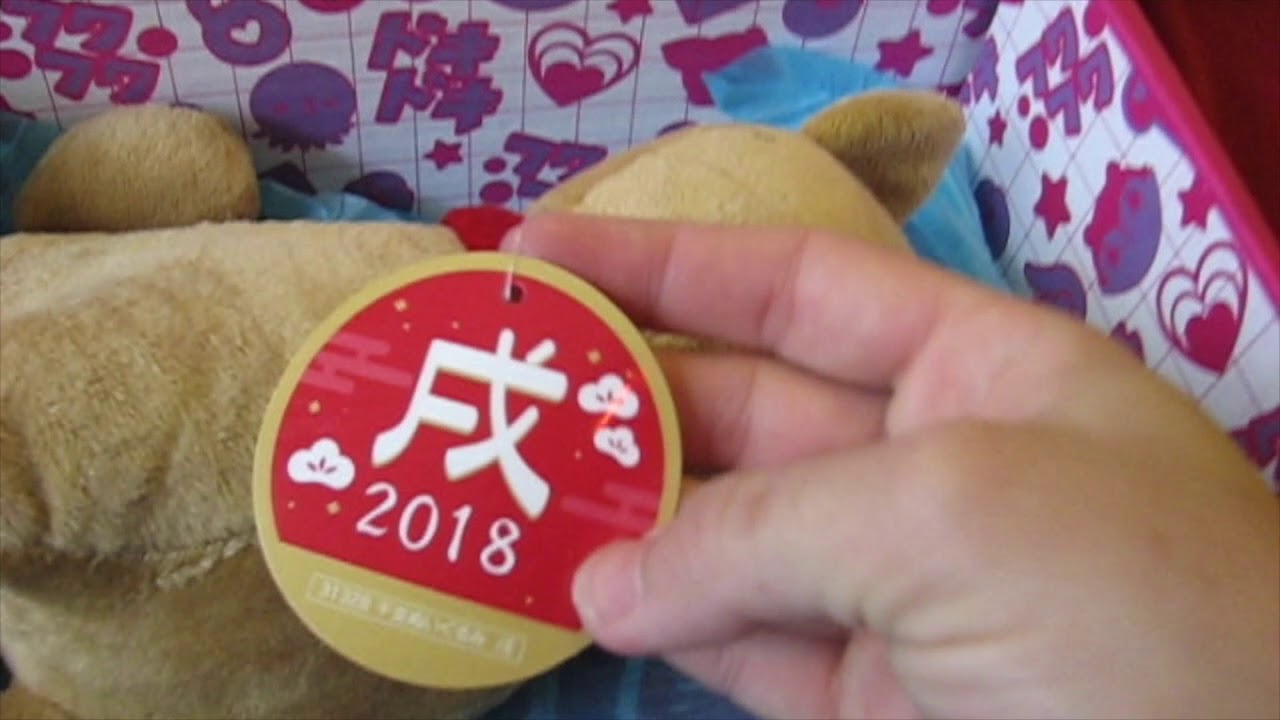 Unboxing Review | DokiDoki by Japan Crate Monthly Subscription Box January 2018