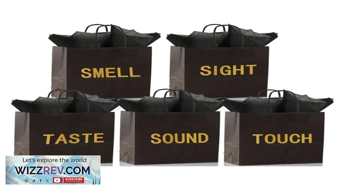 5 Senses Gift Bag Suitable For Him Her Includes 10pcs Tissues Paper Bag